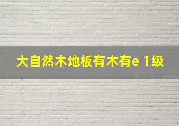 大自然木地板有木有e 1级